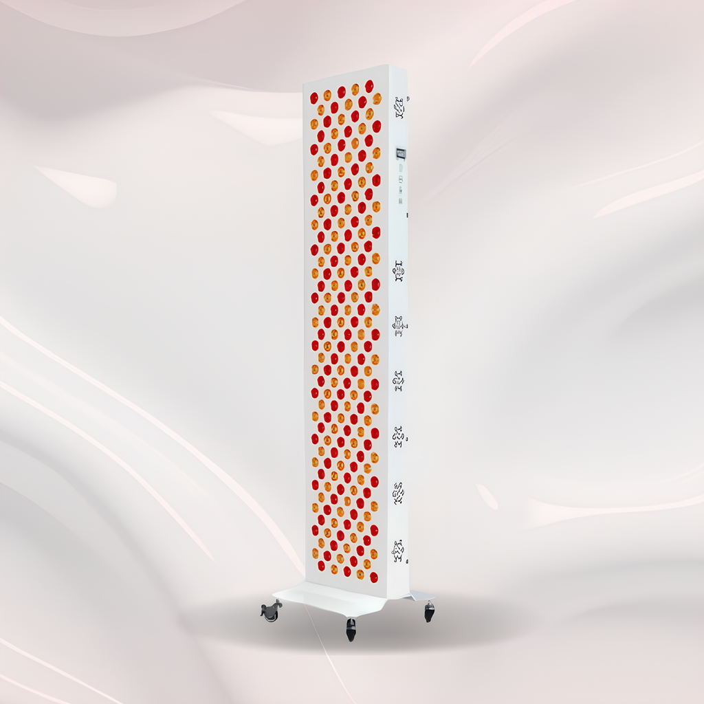 The Queen B Station&nbsp;