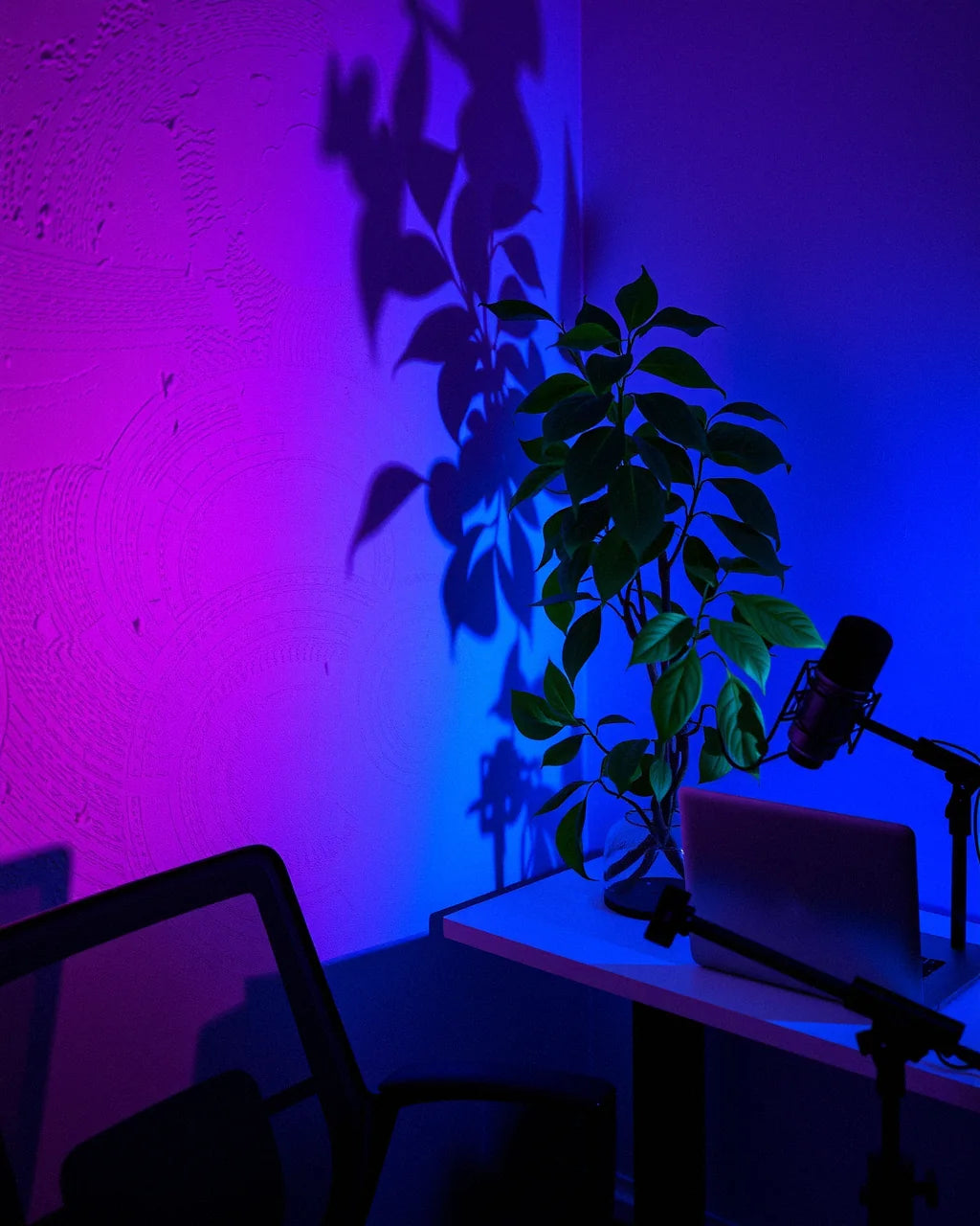 A creator corner washed in magenta and electric blue light
